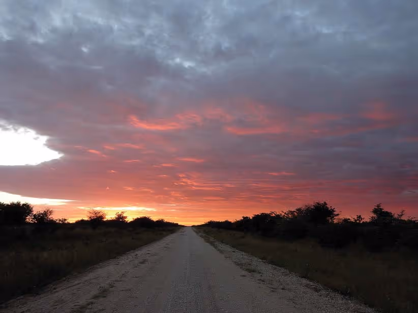 Kudu country, morning day 17