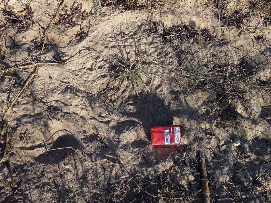 Tracking through the brush northeast of the west pan