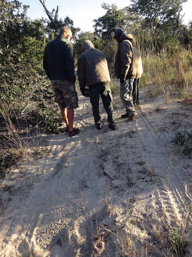 Late-afternoon hunting country near the Hereroland gravel