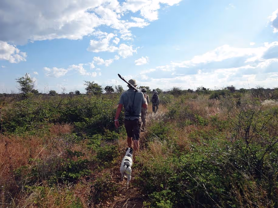 Tracking out of Jackpot Pan the Third