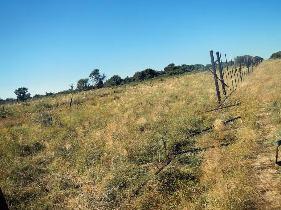 Sand road along the Botswana border fence, morning day 4