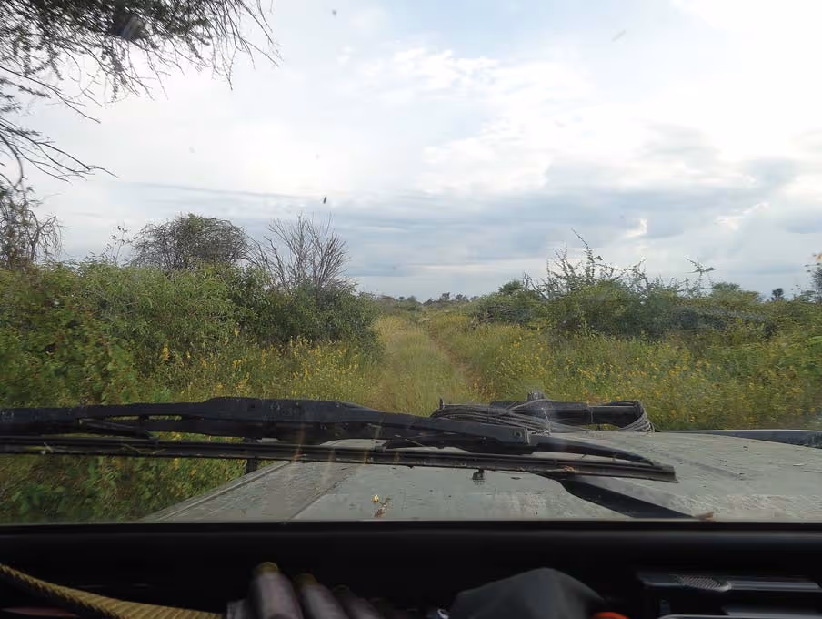Cutting through the overgrown dirt road, day 4