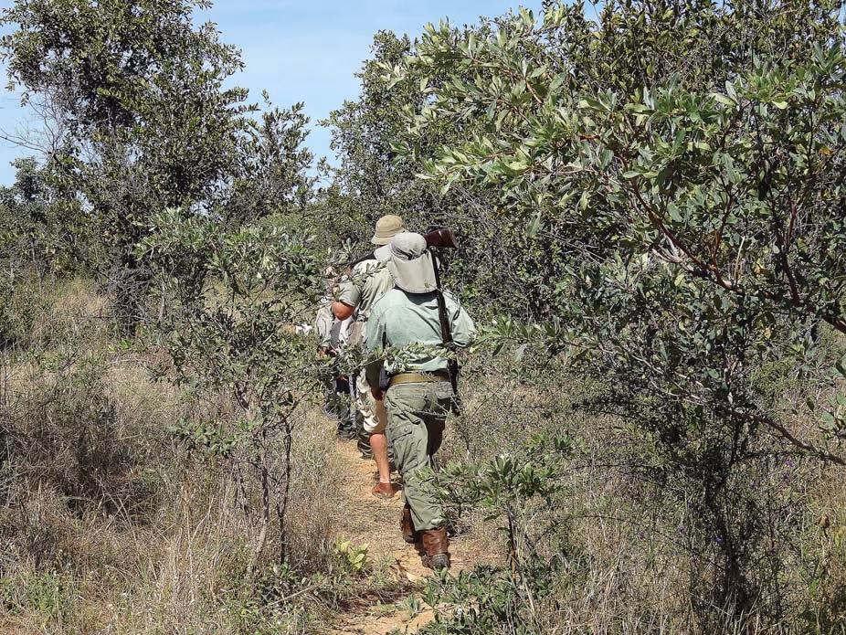 Savanna grassland south toward the main gravel road, day 6