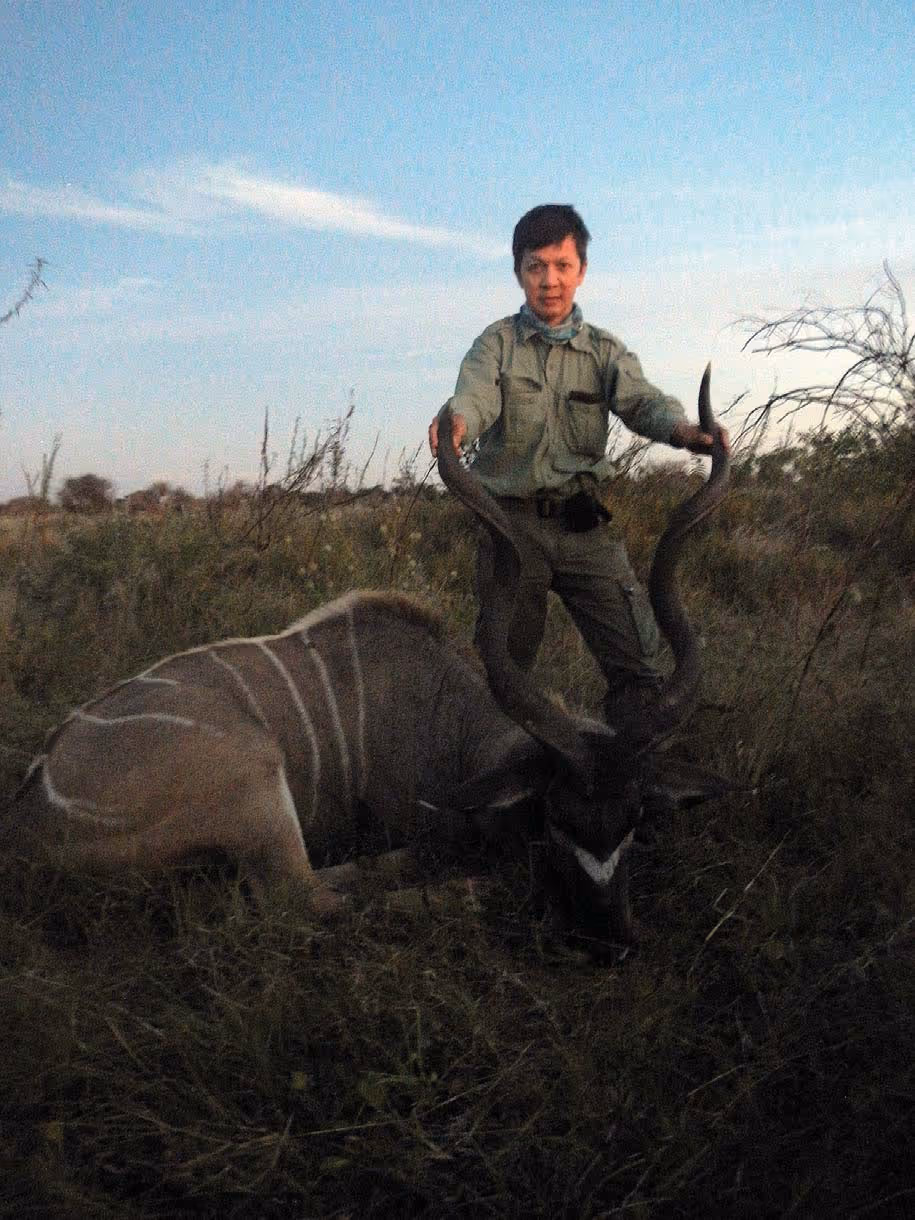 Kudu cows moving through mopane, day 11