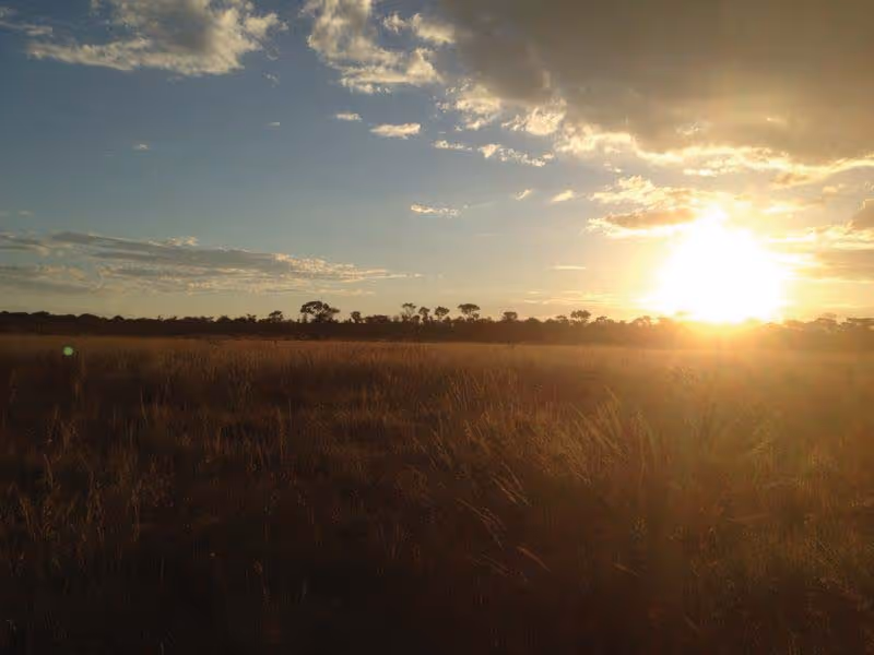 Fence line between Namibia and Botswana, day 9