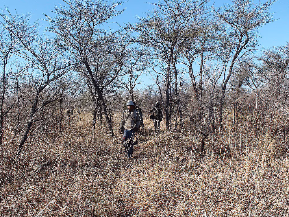 Small pan in the southern concession, day 5