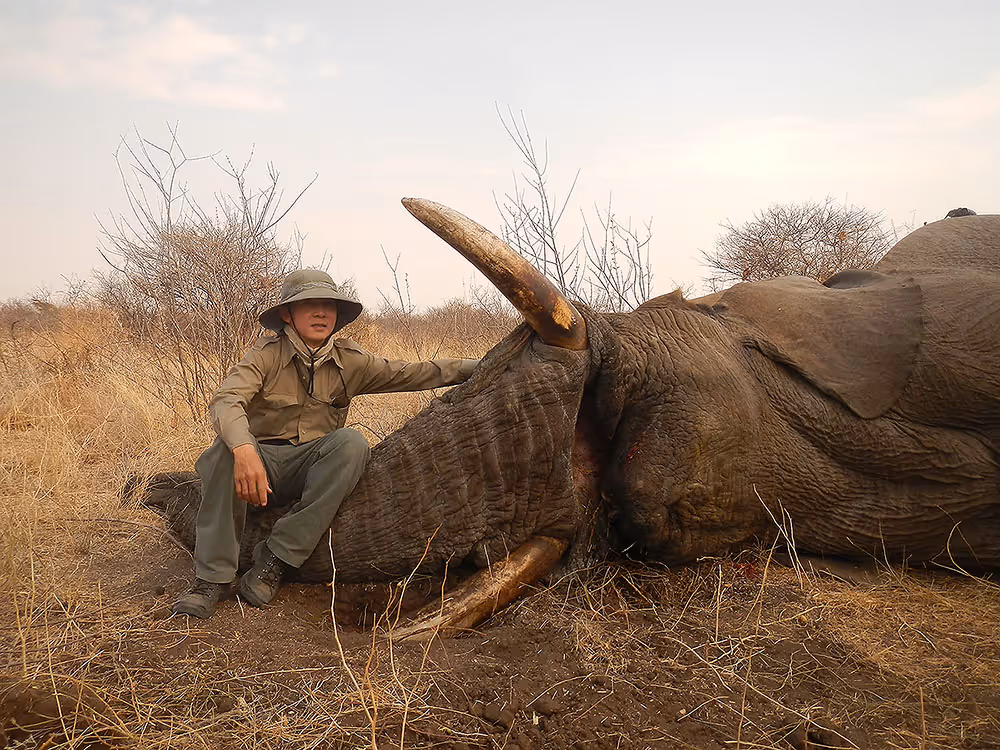 The first trophy bull — seventy pounds, day 7