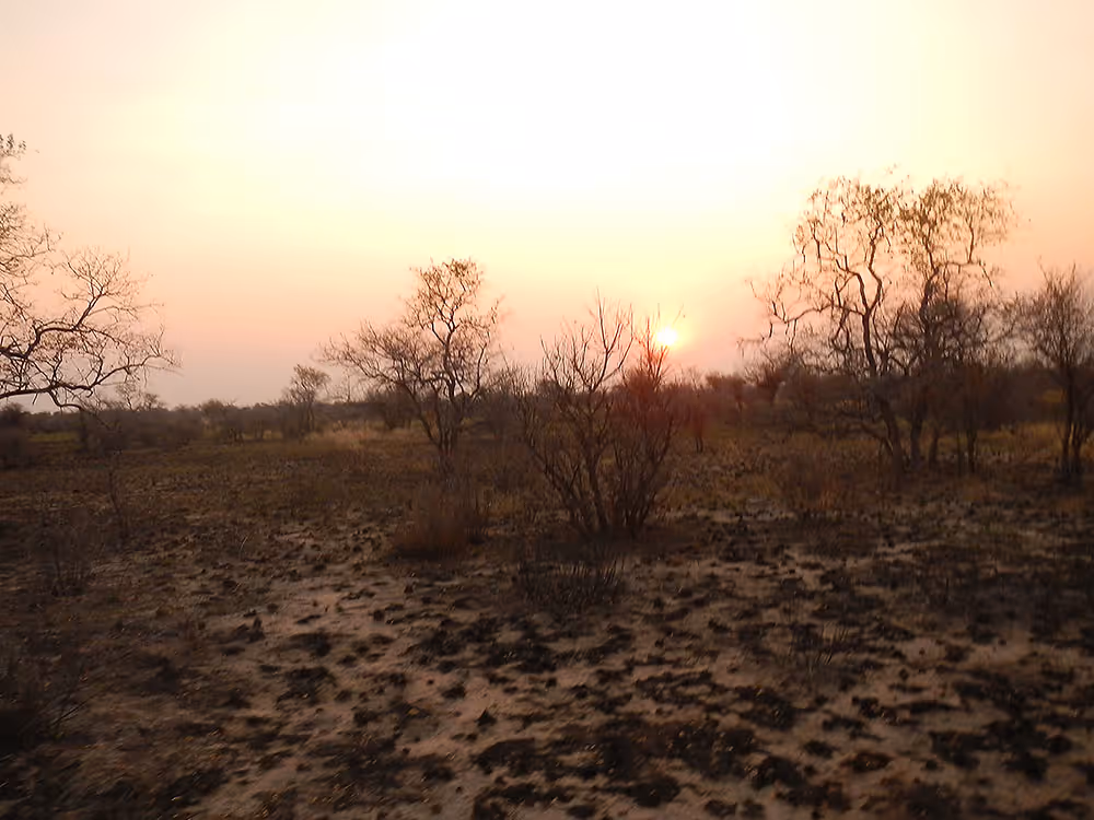 New northwest water hole, day 9